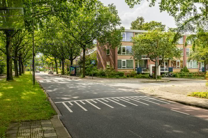 Foto 49 van Goeman Borgesiuslaan 72