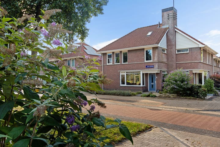 Foto 3 van Willem Lodewijkhof 38