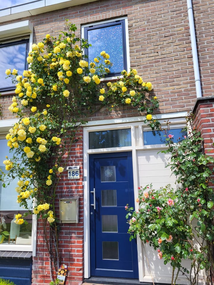 Foto 25 van Burgemeester Stemerdinglaan 186