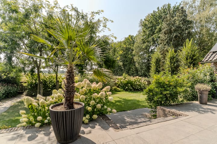 Foto 43 van Beerschemaasweg 53