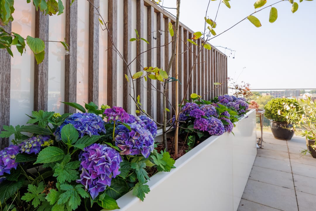 Foto 62 van Victor Beermannhof 37