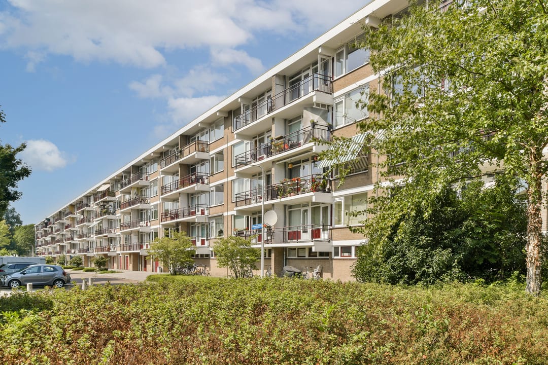 Photo 26 of William Boothlaan 234