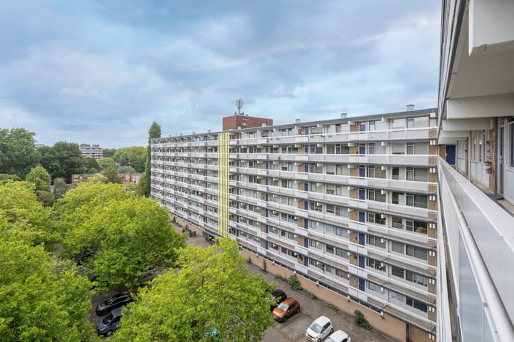 Robert Kochplaats 301