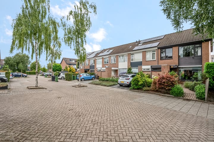 Photo 5 of Handjesgras 11