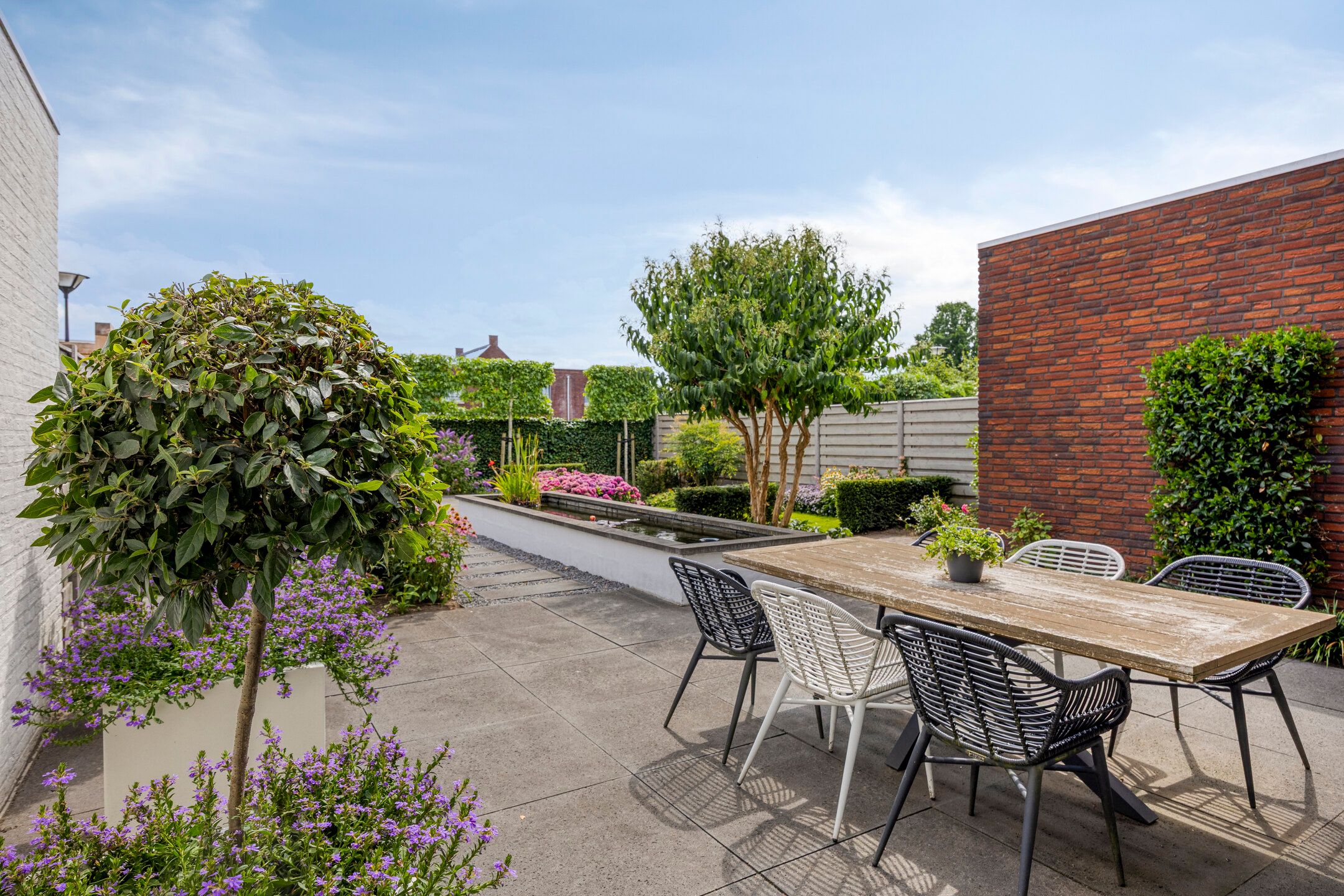 Foto 33 van Haagwinde 6