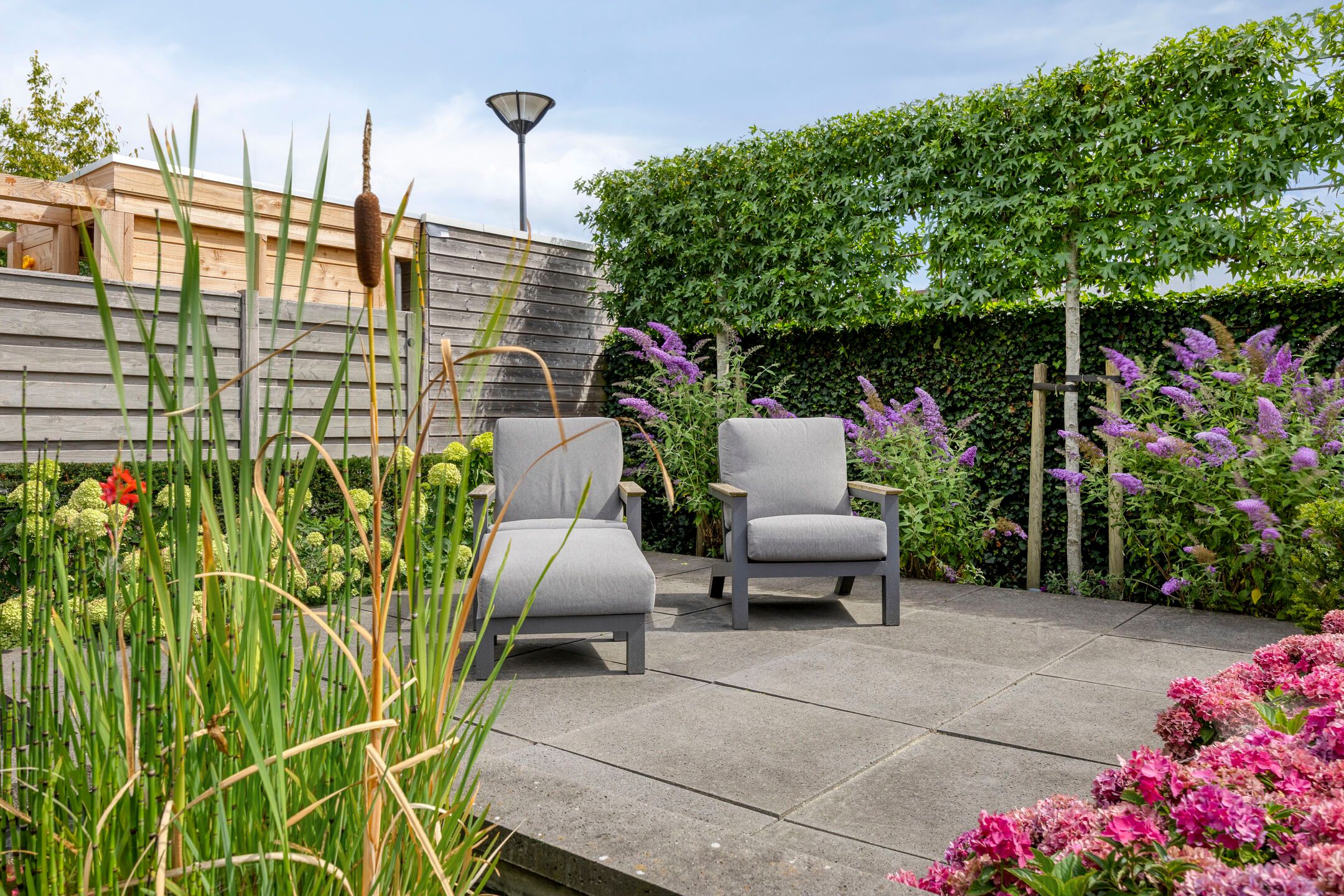 Foto 36 van Haagwinde 6