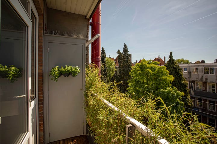 Foto 19 van Van Hilligaertstraat 166