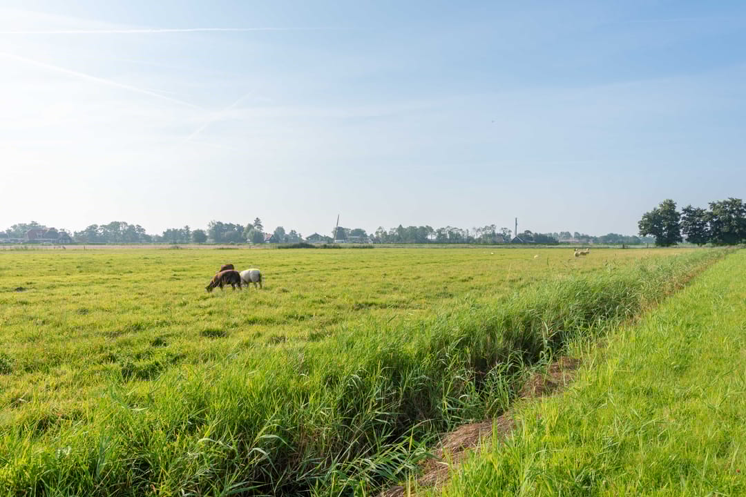 Foto 38 van Hoogegeest 28