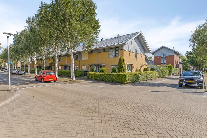 Foto 7 van Uilvlinder 25