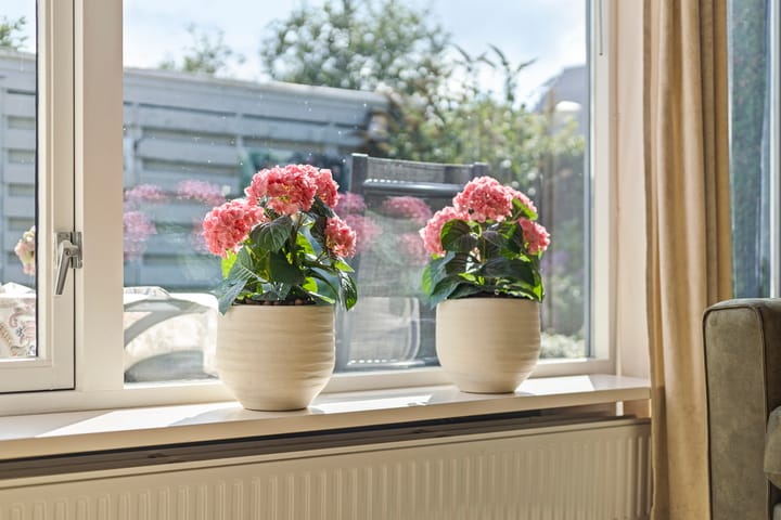 Foto 18 van Uilvlinder 25