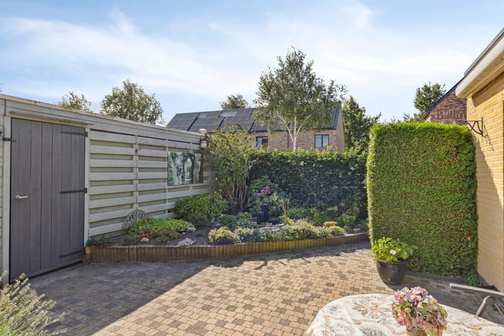 Foto 32 van Uilvlinder 25