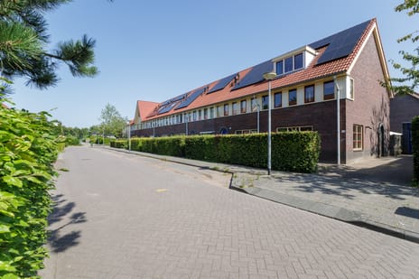 undefined main image