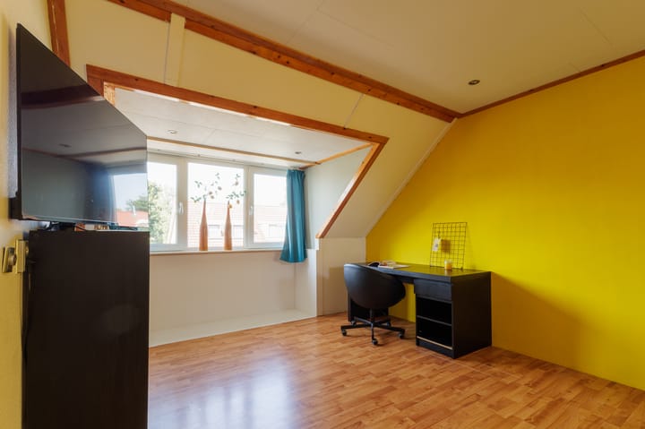 Foto 65 van Peppeling 50