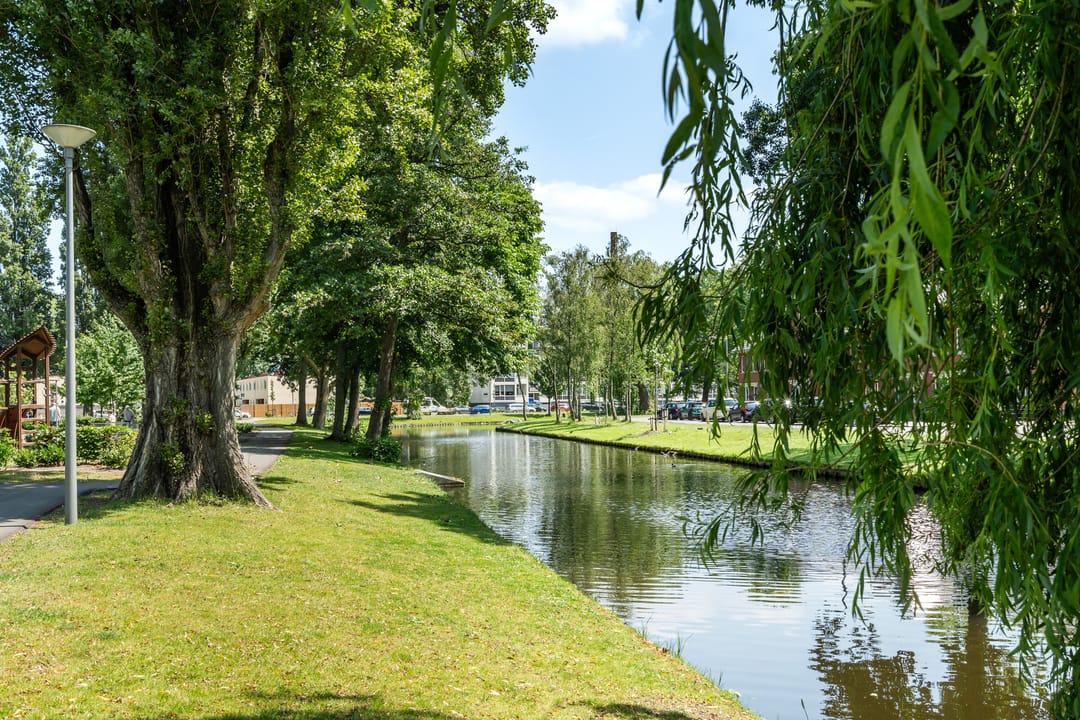 Foto 46 van Hondsdijkstraat 31