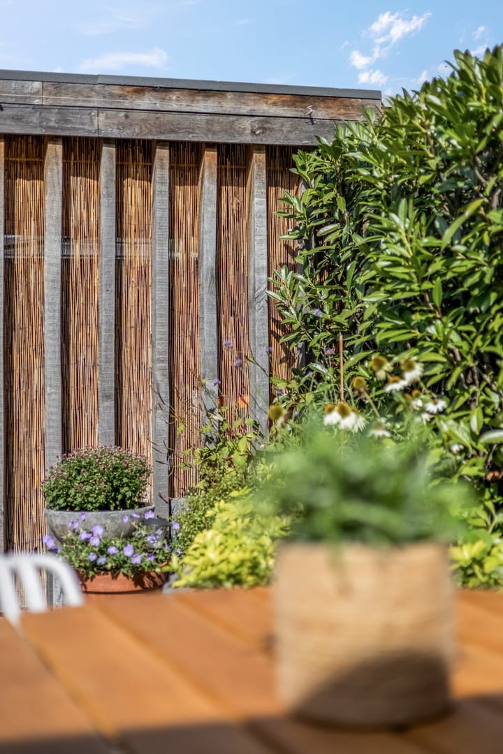 Foto 30 van Laan der Verenigde Naties 77