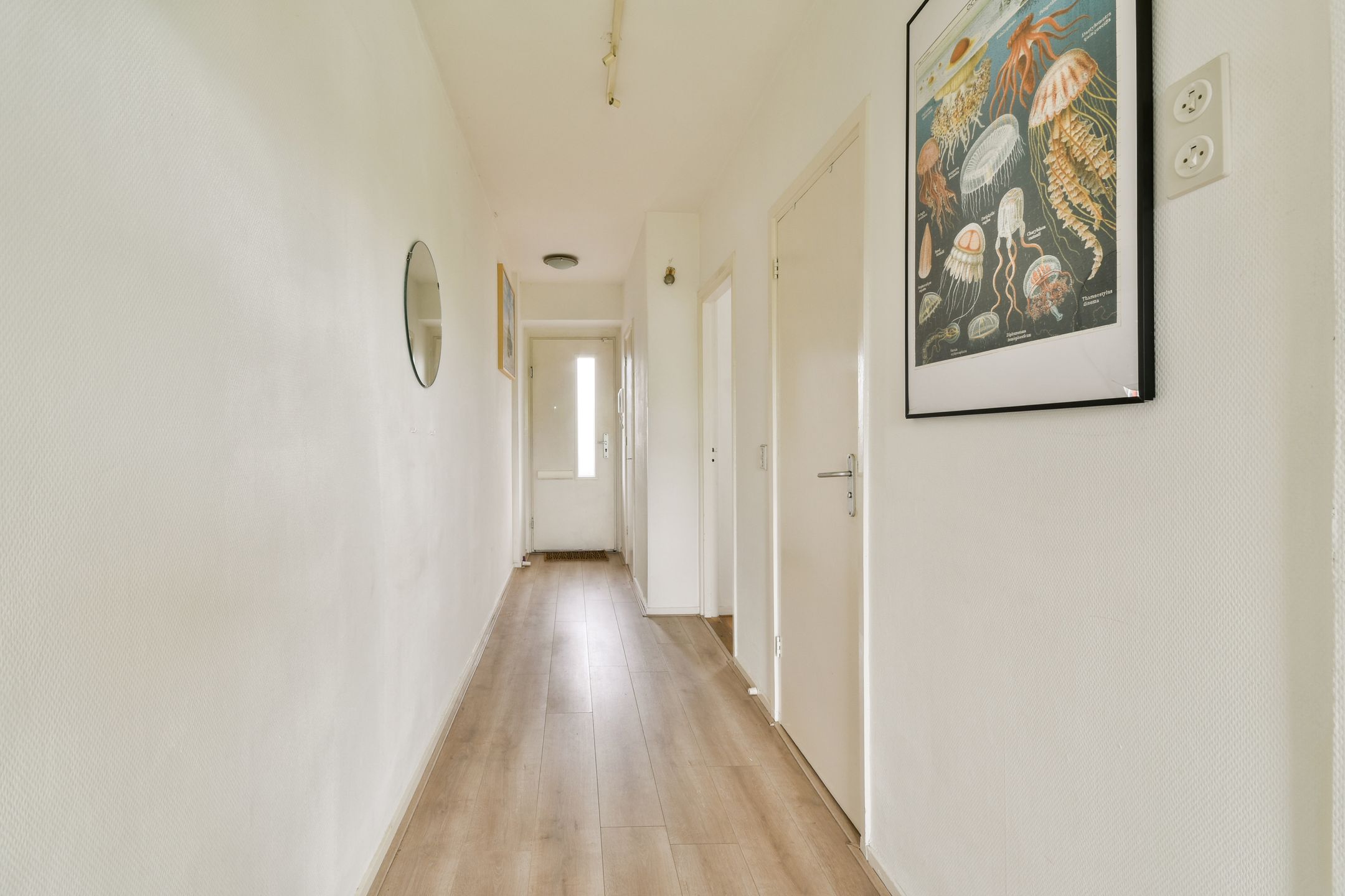 Foto 12 van Burgemeester Hogguerstraat 547