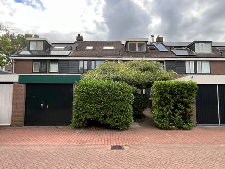 undefined main image