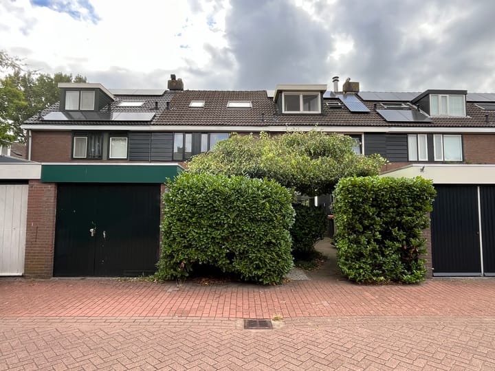 Foto 1 van Splitshoorn 48