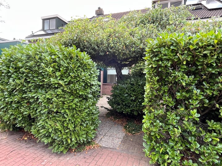 Foto 4 van Splitshoorn 48