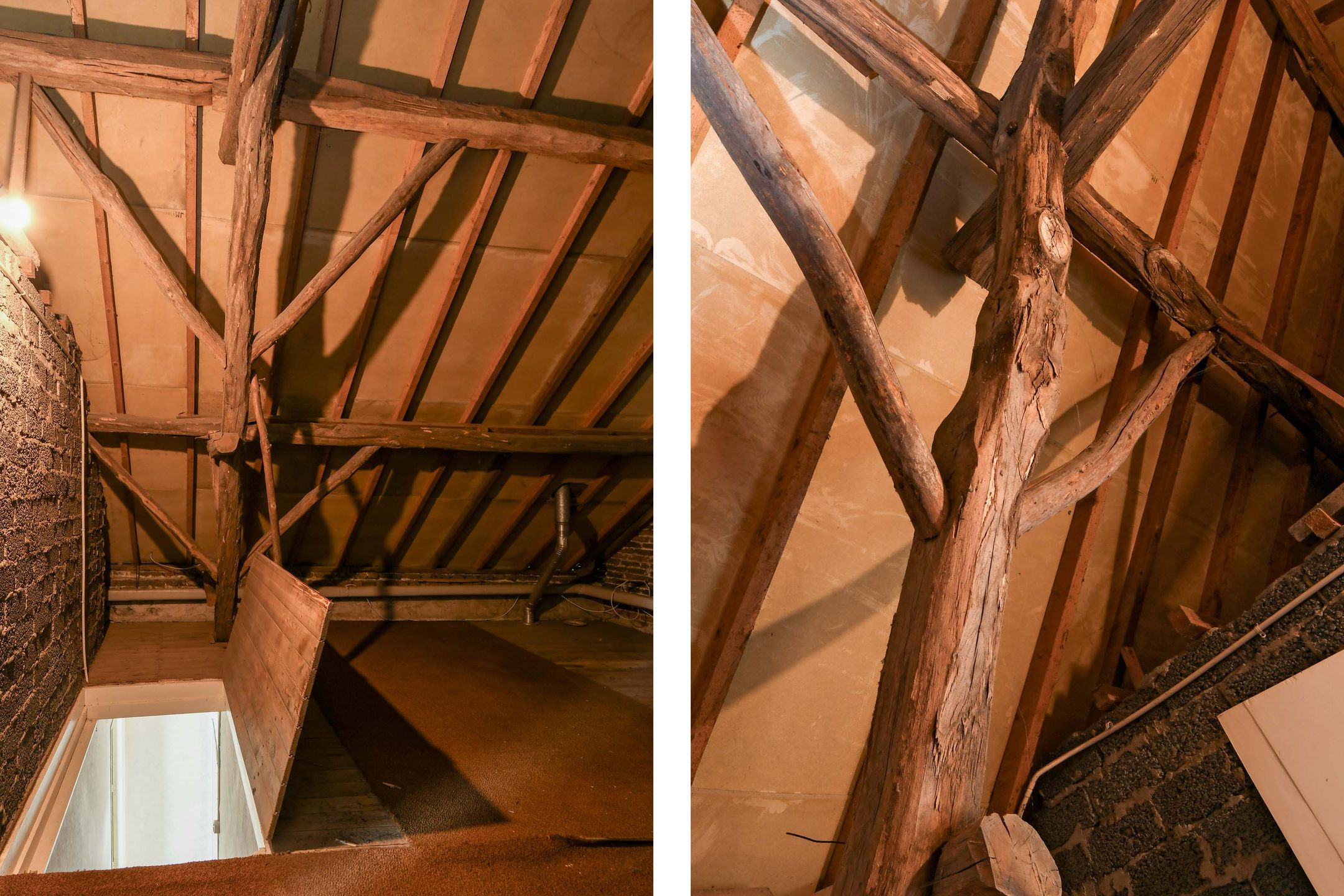 Foto 15 van Kruispeelweg 23