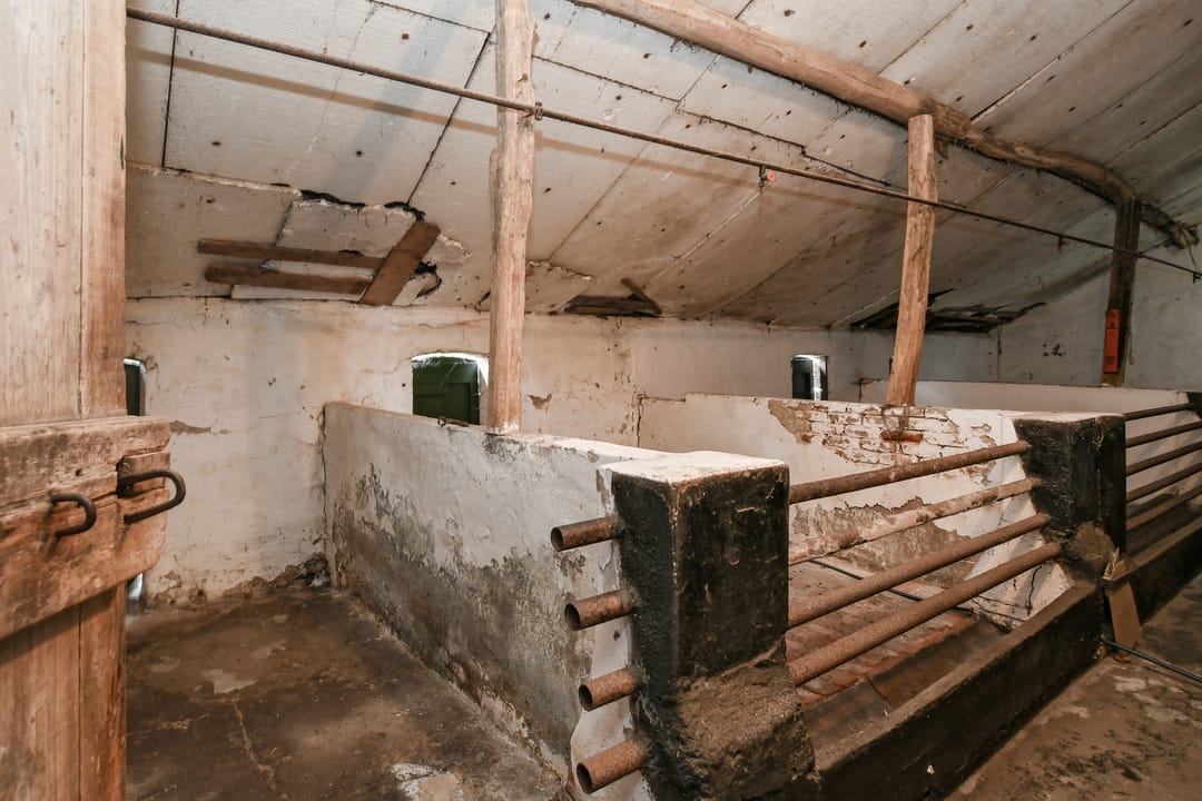 Foto 22 van Kruispeelweg 23