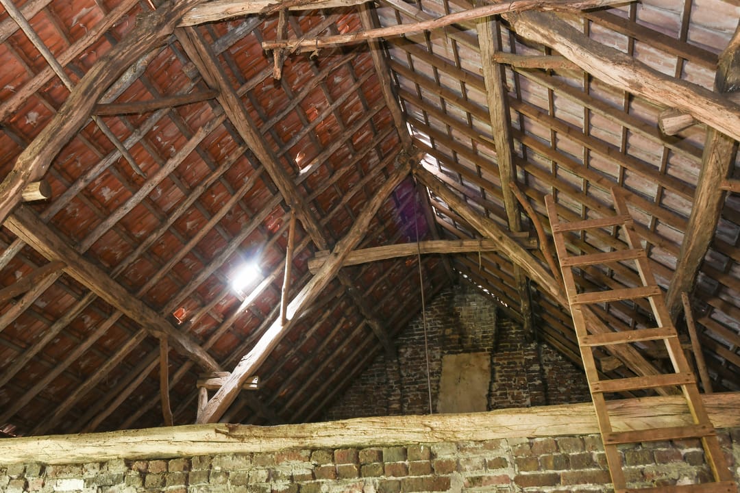 Foto 26 van Kruispeelweg 23