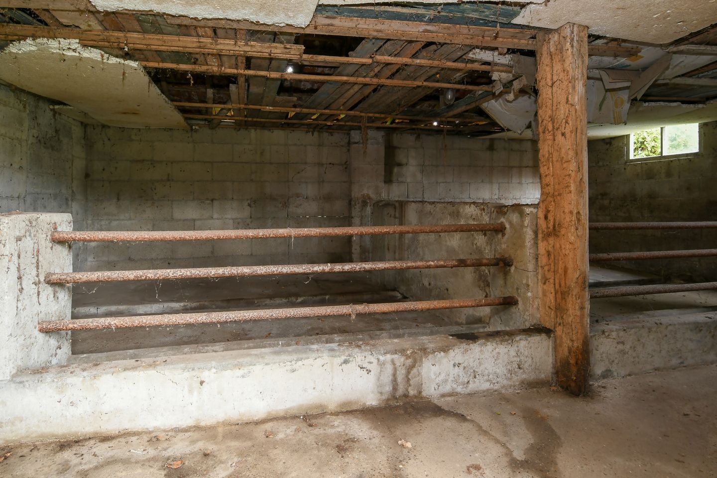 Foto 34 van Kruispeelweg 23