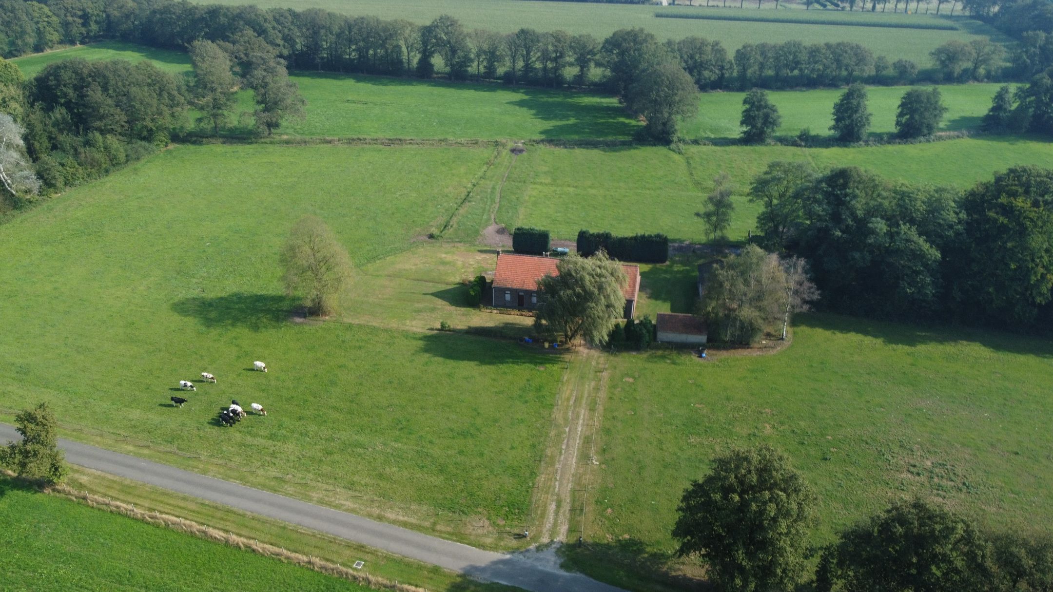 Foto 36 van Kruispeelweg 23