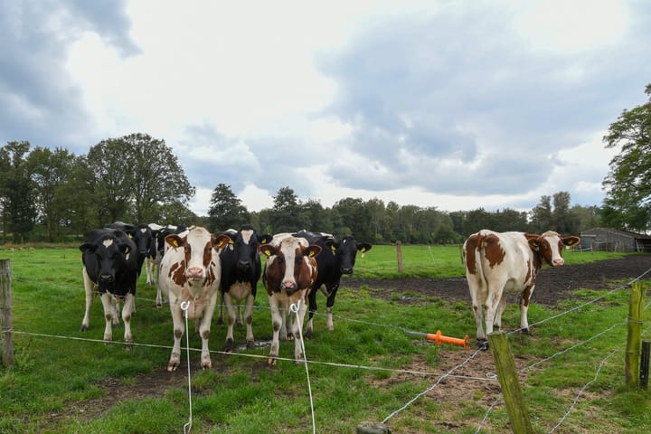 Foto 39 van Kruispeelweg 23