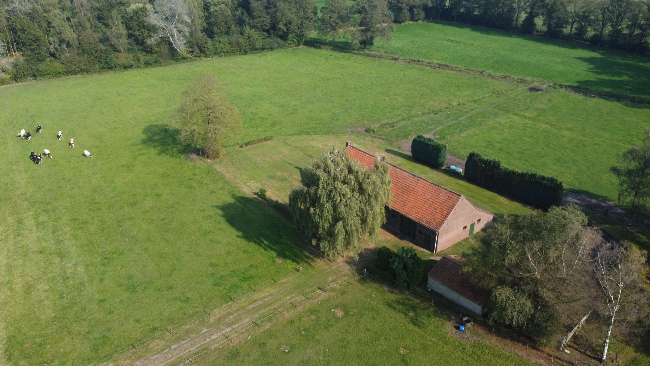 Foto 57 van Kruispeelweg 23