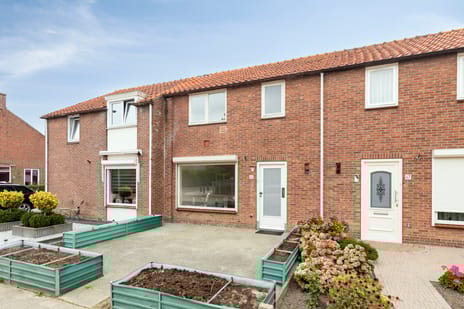 undefined main image