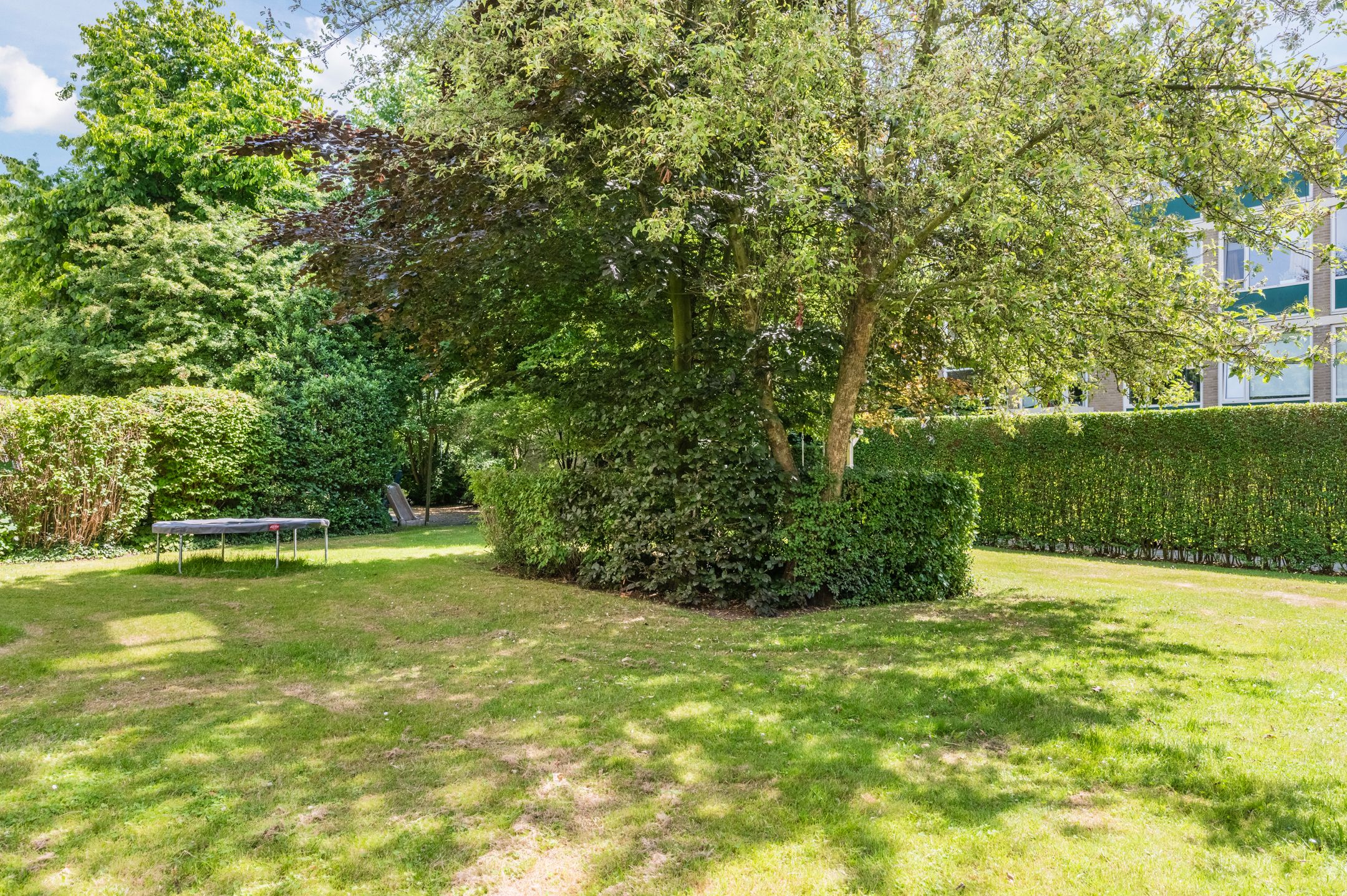 Foto 36 van Clematislaan 20