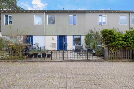 Wingerdstraat 13