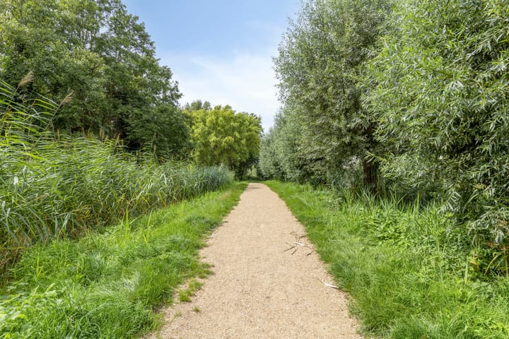 Foto 37 van Henegouwenstraat 66