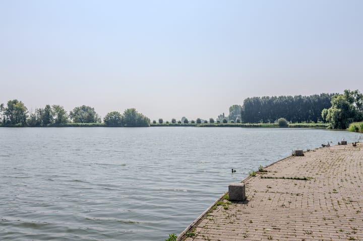 Foto 3 van L. Springerstraat 95