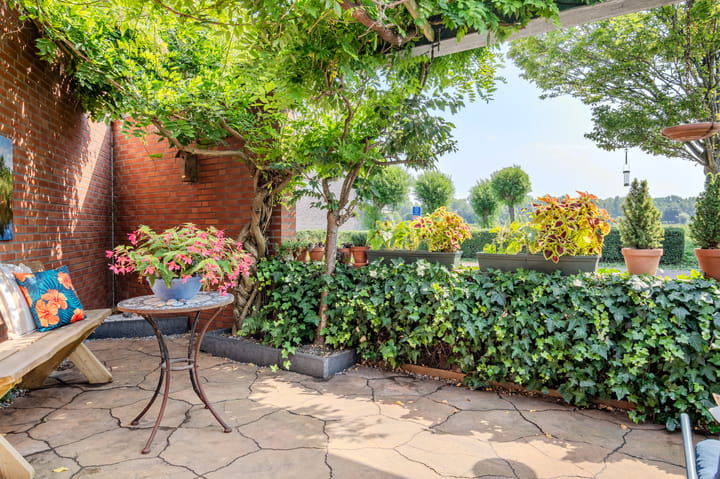 Foto 12 van L. Springerstraat 95