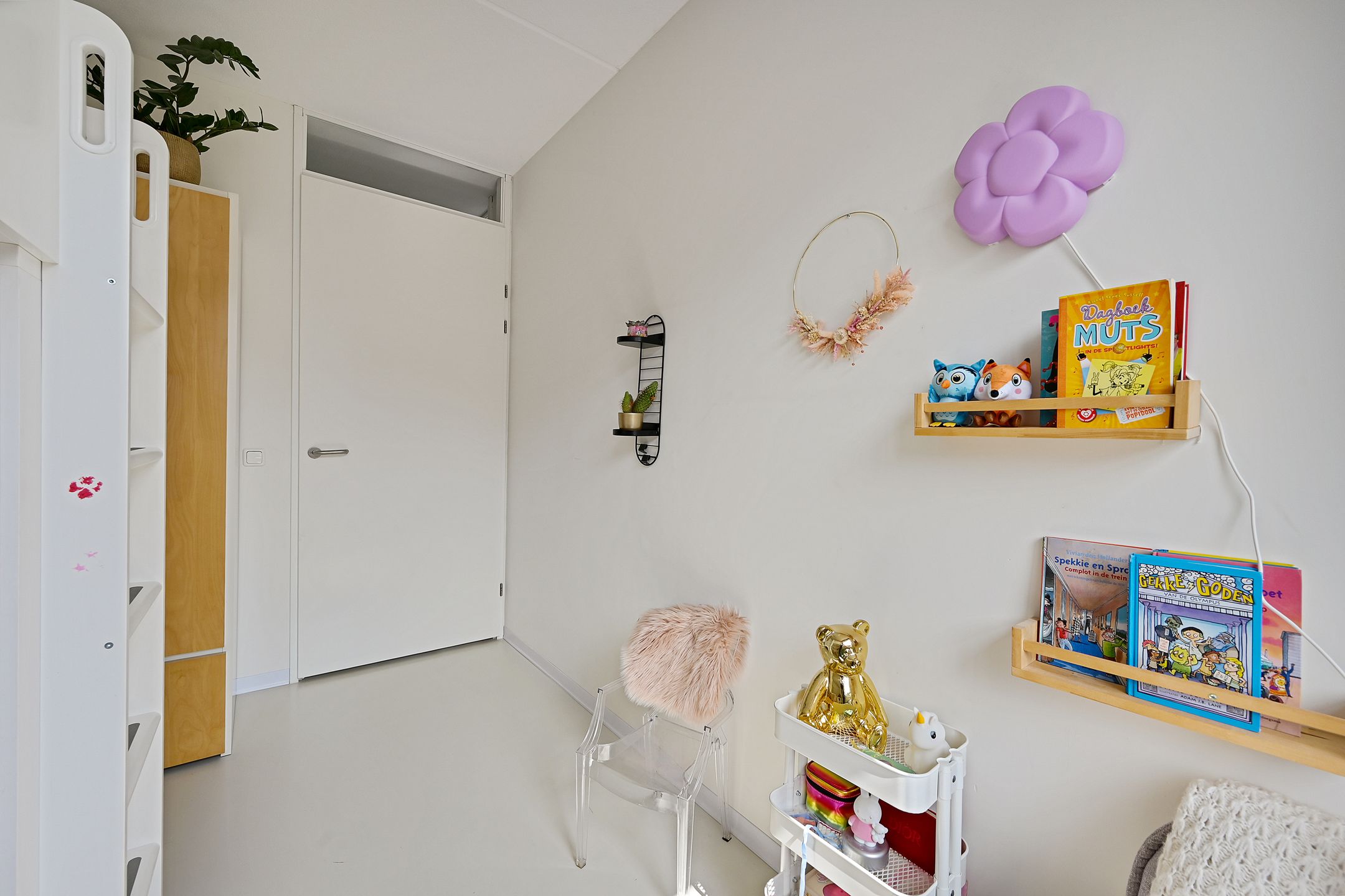 Foto 27 van Dokter Fokkensstraat 6