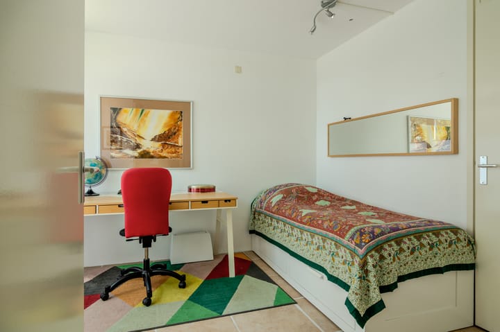 Foto 22 van L. Springerstraat 95