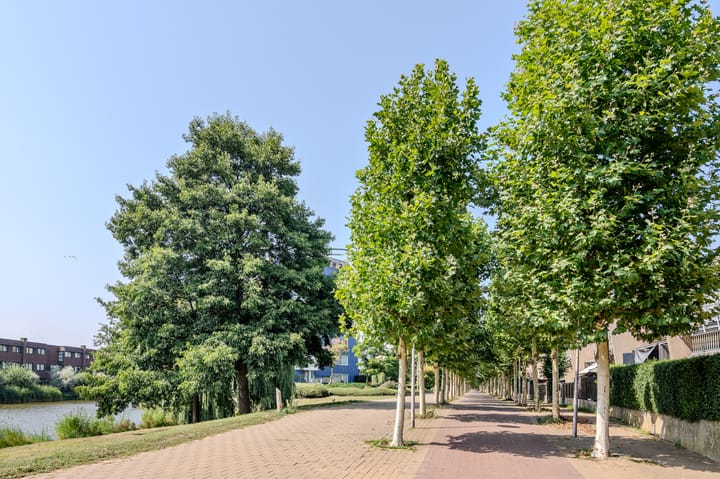 Foto 32 van L. Springerstraat 95