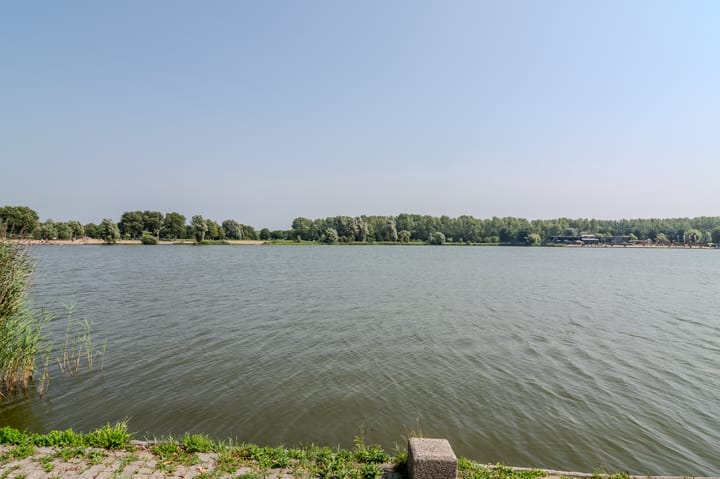 Foto 33 van L. Springerstraat 95