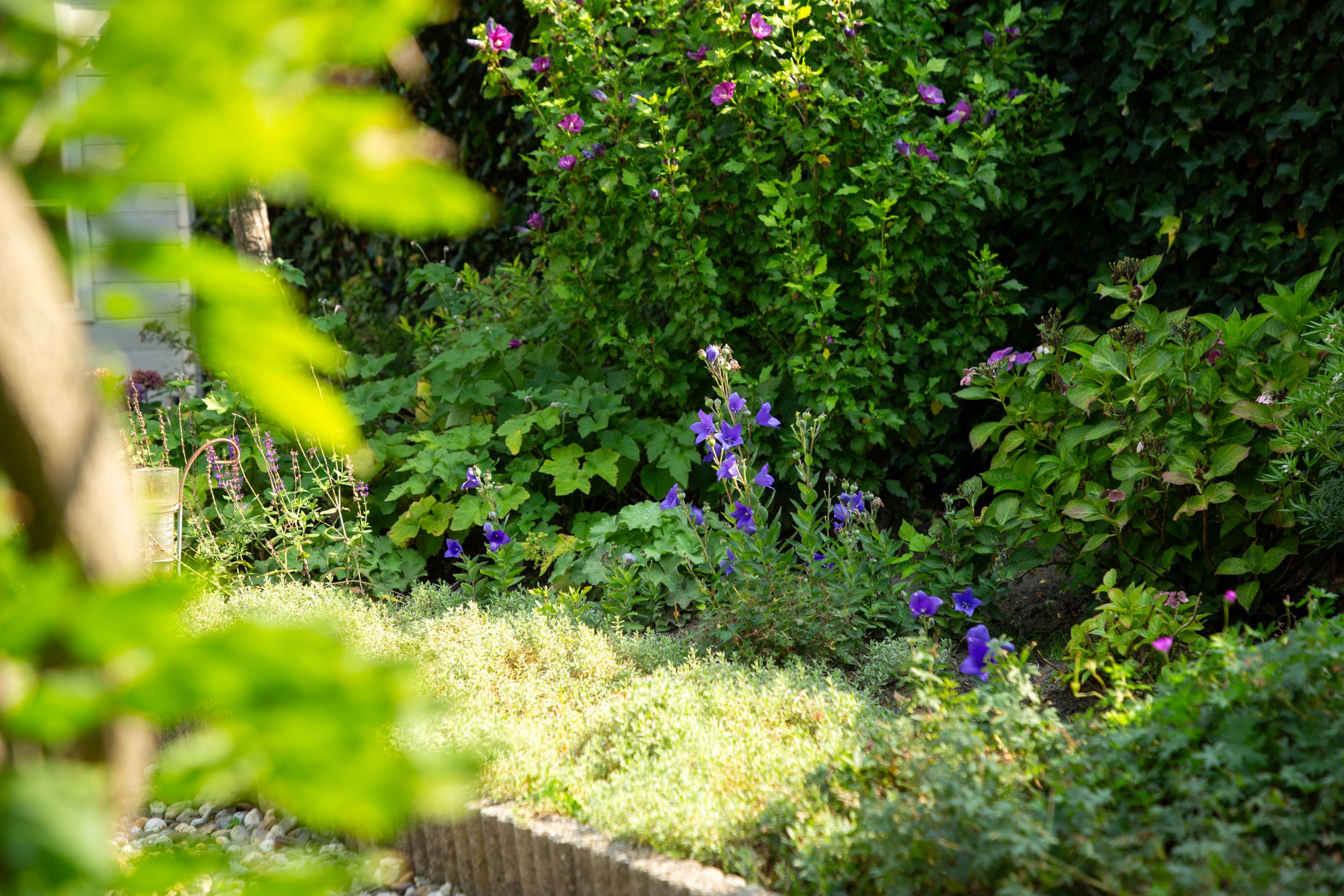 Foto 42 van Jan Steenstraat 35