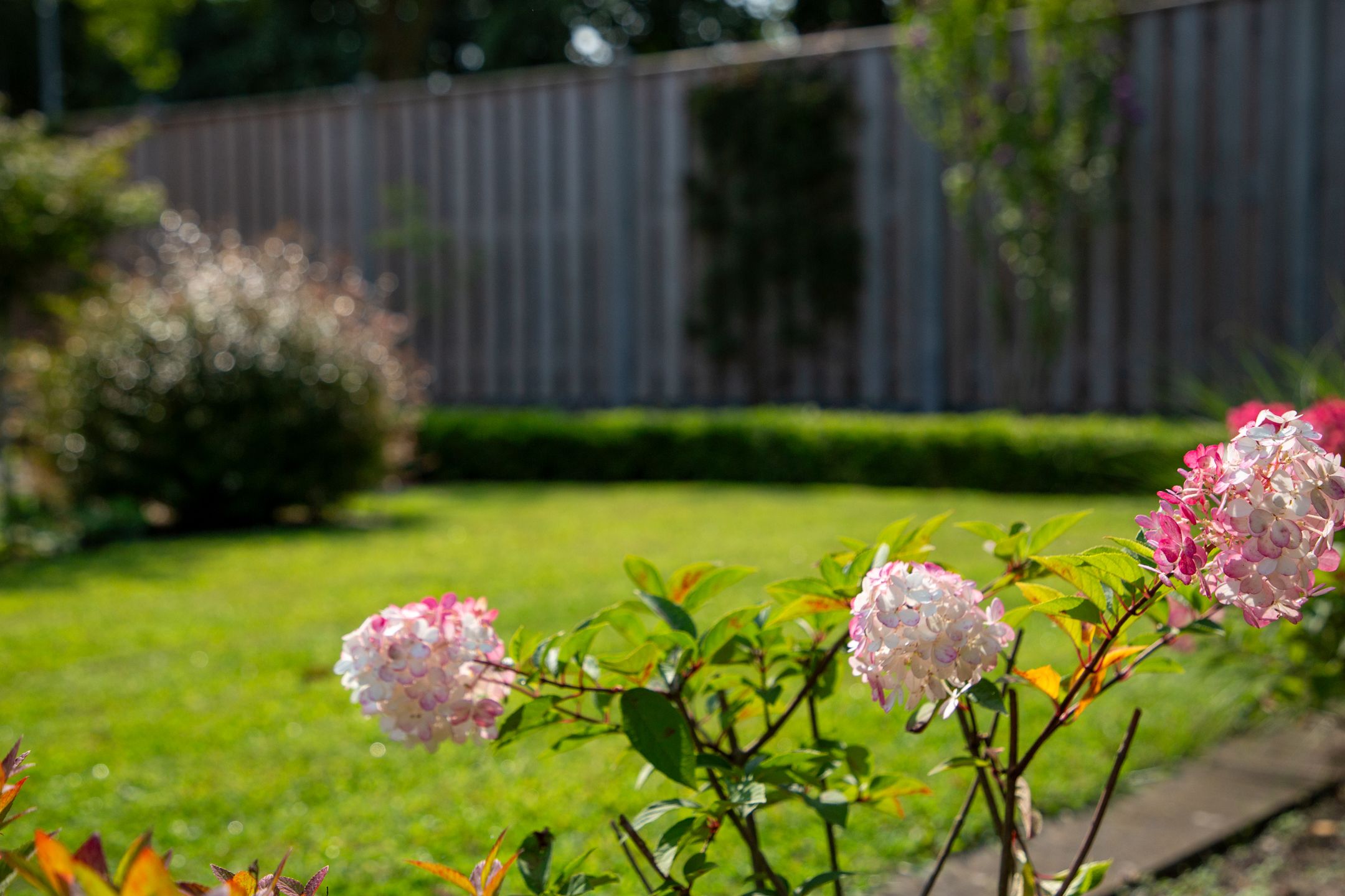 Foto 48 van Jan Steenstraat 35