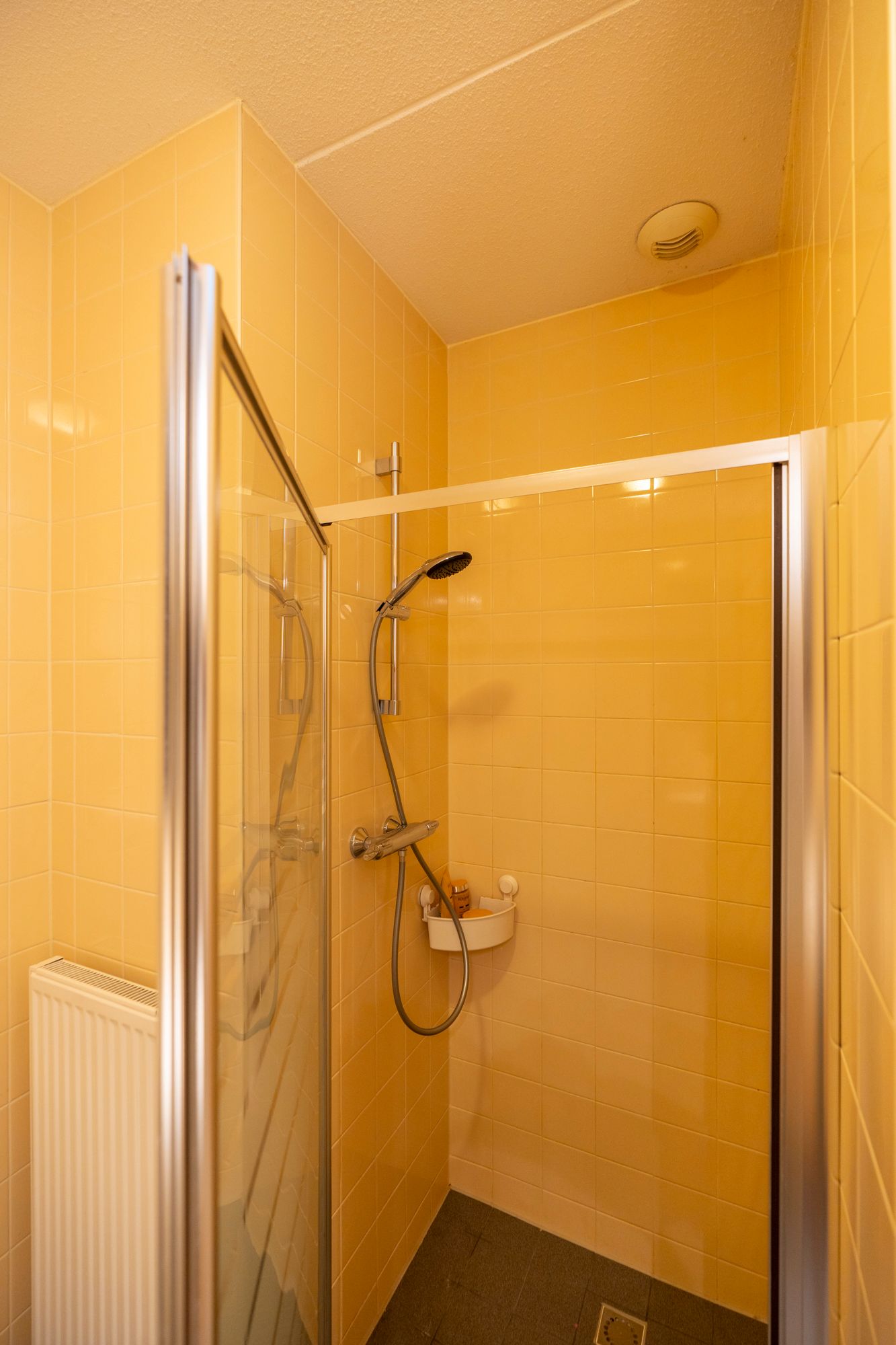 Foto 27 van Ina Boudier-Bakkerlaan 40-A