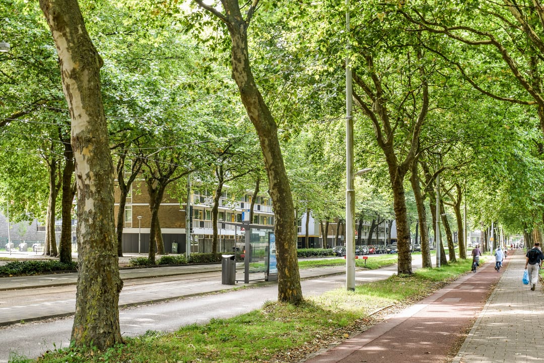 Foto 23 van Rijswijkstraat 15