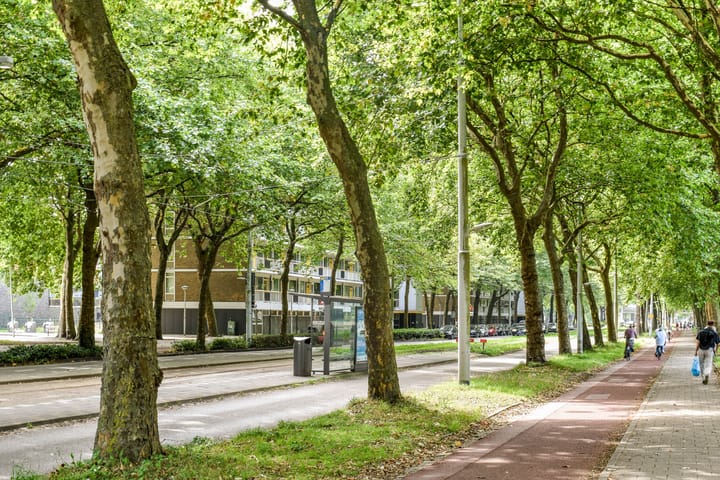 Photo 23 of Rijswijkstraat 15