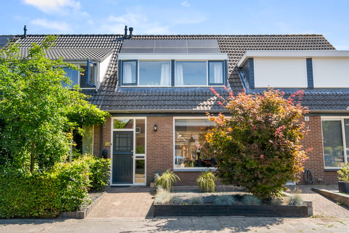 Foto 1 van Boterbloem 29