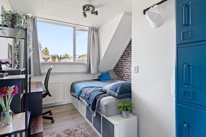 Foto 29 van Boterbloem 29