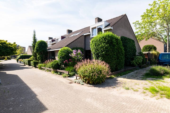 Foto 2 van Draaikolk 24