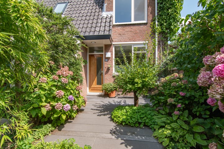 Foto 4 van Lavendeltuin 30