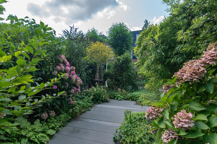 Foto 5 van Lavendeltuin 30